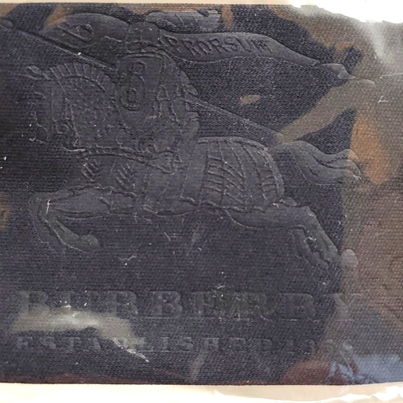 Burberry Teal Sunglasses - Picture 14 of 16